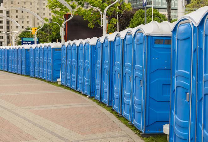 Seasonal porta potty units set up at a Port Huron, Michigan venue